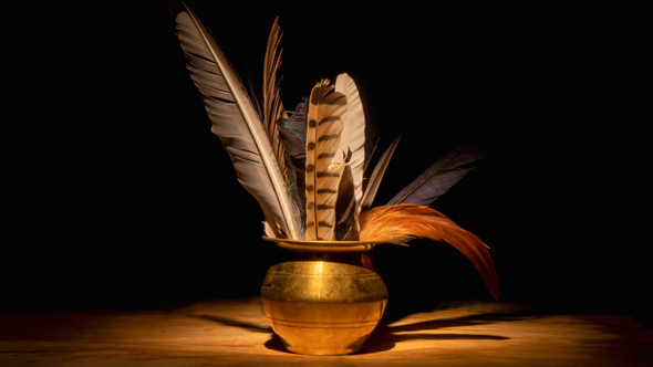 Feathers in gold pot under spotlight